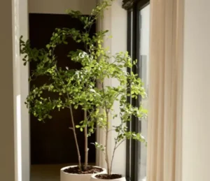 Kunstplanten
