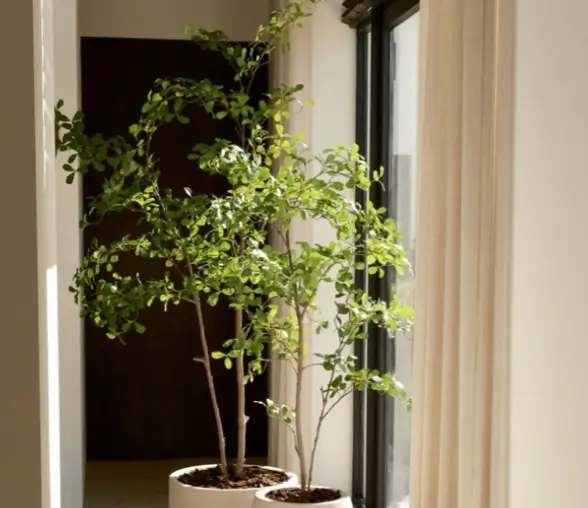 Kunstplanten