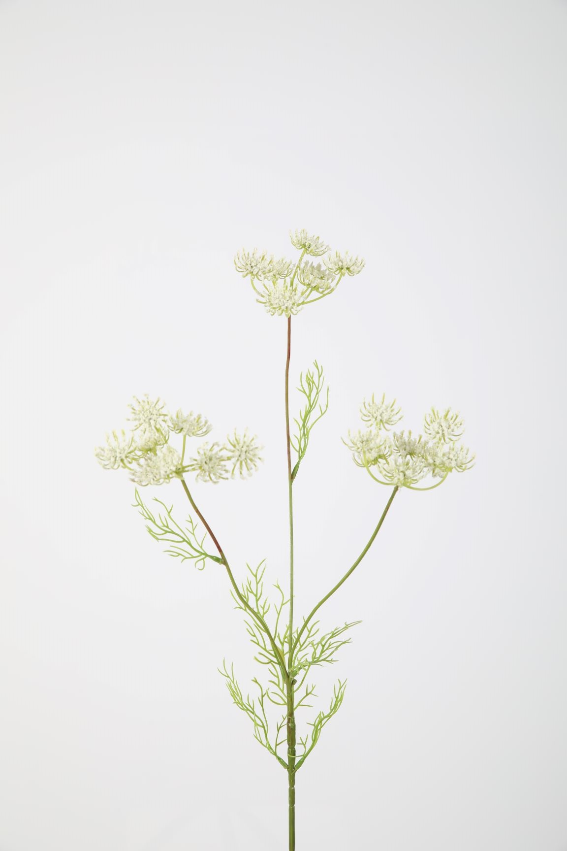 Kunstplant Groen Wit 84cm
