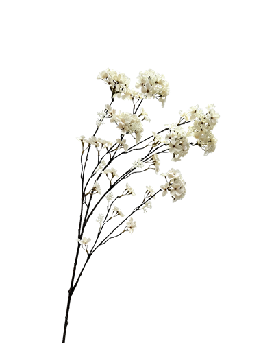 Kunsttak Hydrangea Branch Creme 109 cm