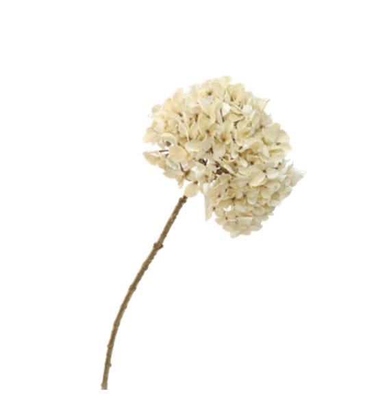 Kunsttak Hydrangea Creme 65 cm