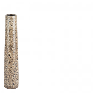 Gwinn "Spots" Vaas Large