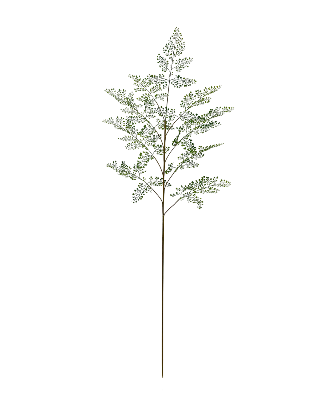 Adianthum Kunsttak 150cm