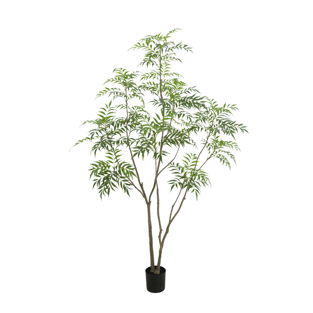 Bamboo Boom 240cm